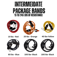 Vertical Blitz Resistance Bands – Shoulders to Heels  Adjustable 10 lb Increments, Full‑Body Training, Vertical Jump & Strength Builder