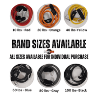 Vertical Blitz Resistance Bands – Shoulders to Heels  Adjustable 10 lb Increments, Full‑Body Training, Vertical Jump & Strength Builder